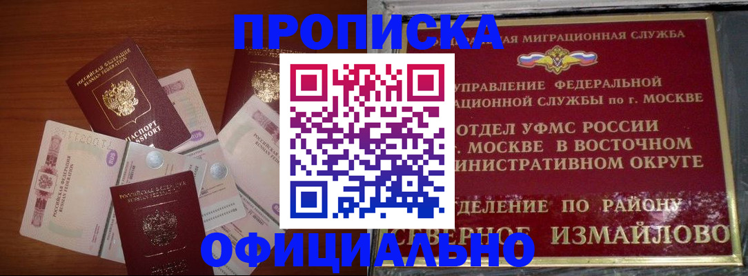 прописка гарантия в Вольске
